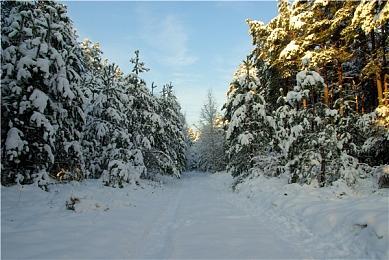 《三角洲行动》8月19日上线Xbox Series X＆S和PS5 