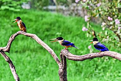 《GTA6》将有传统单人模式 更多新城市和岛屿